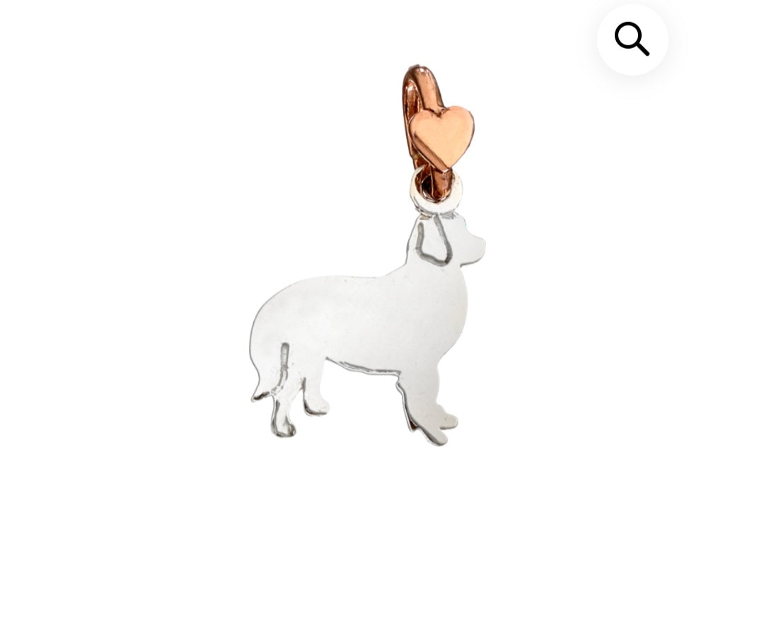 Charm dodo mariani golden retrivier