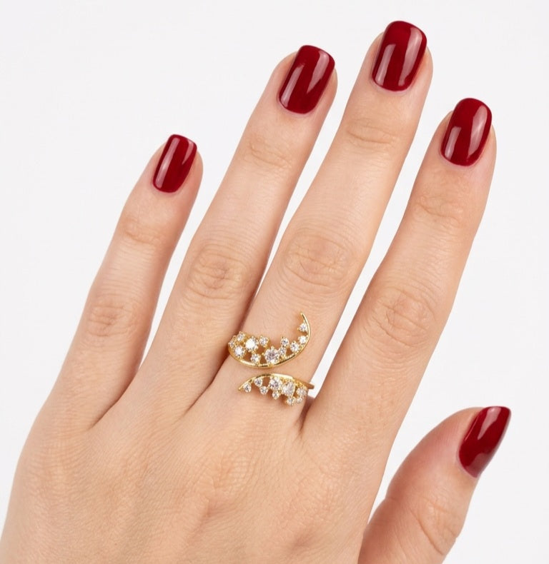 Anello Bibie