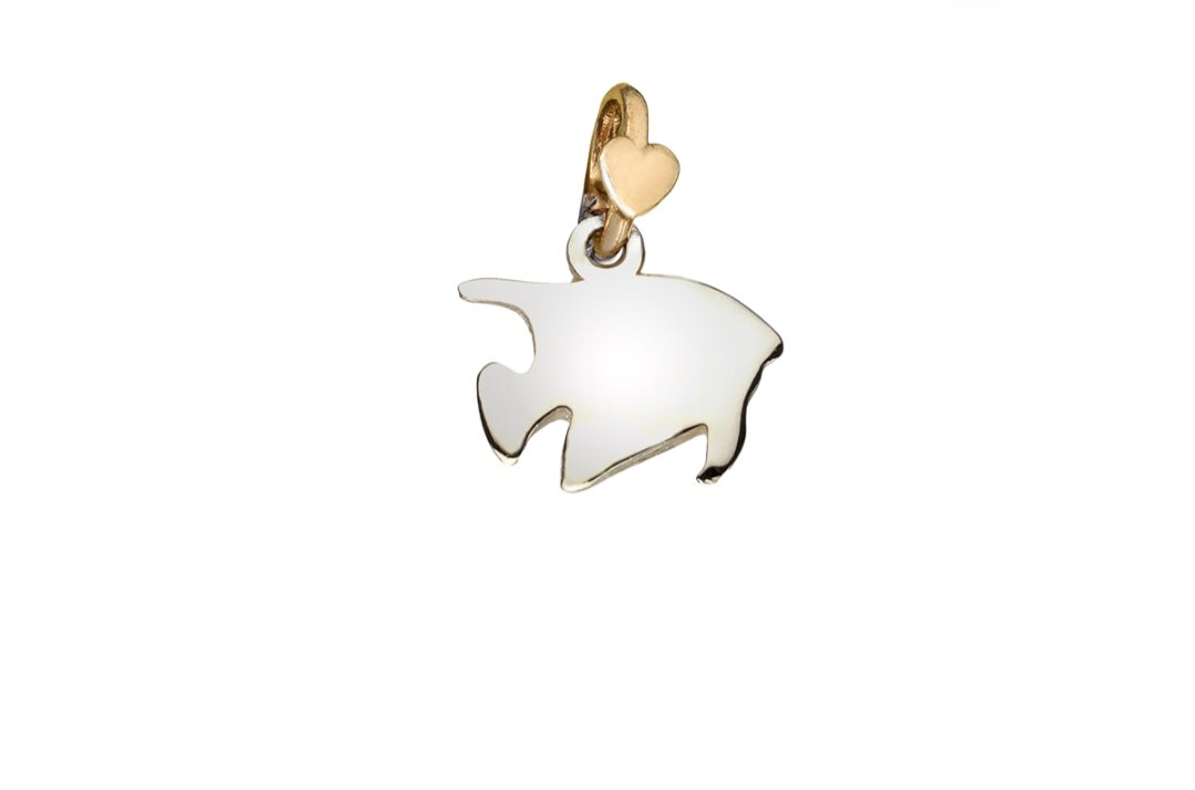 Charm dodo mariani pesce tropicale