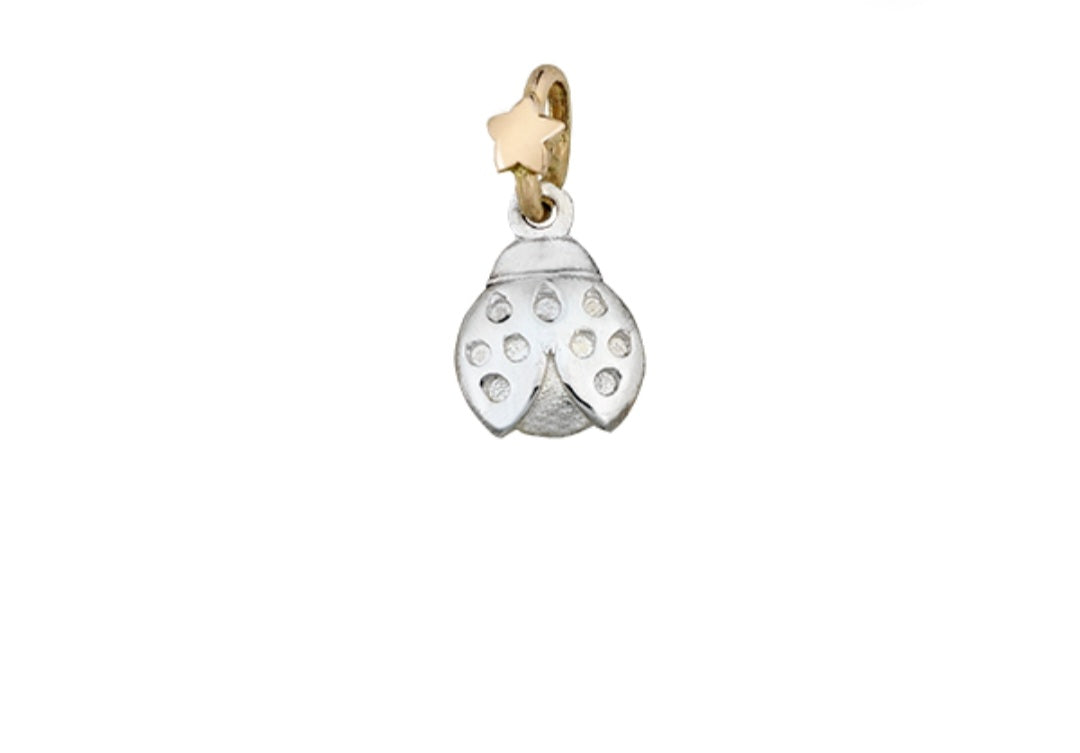 Charm dodo mariani la coccinella