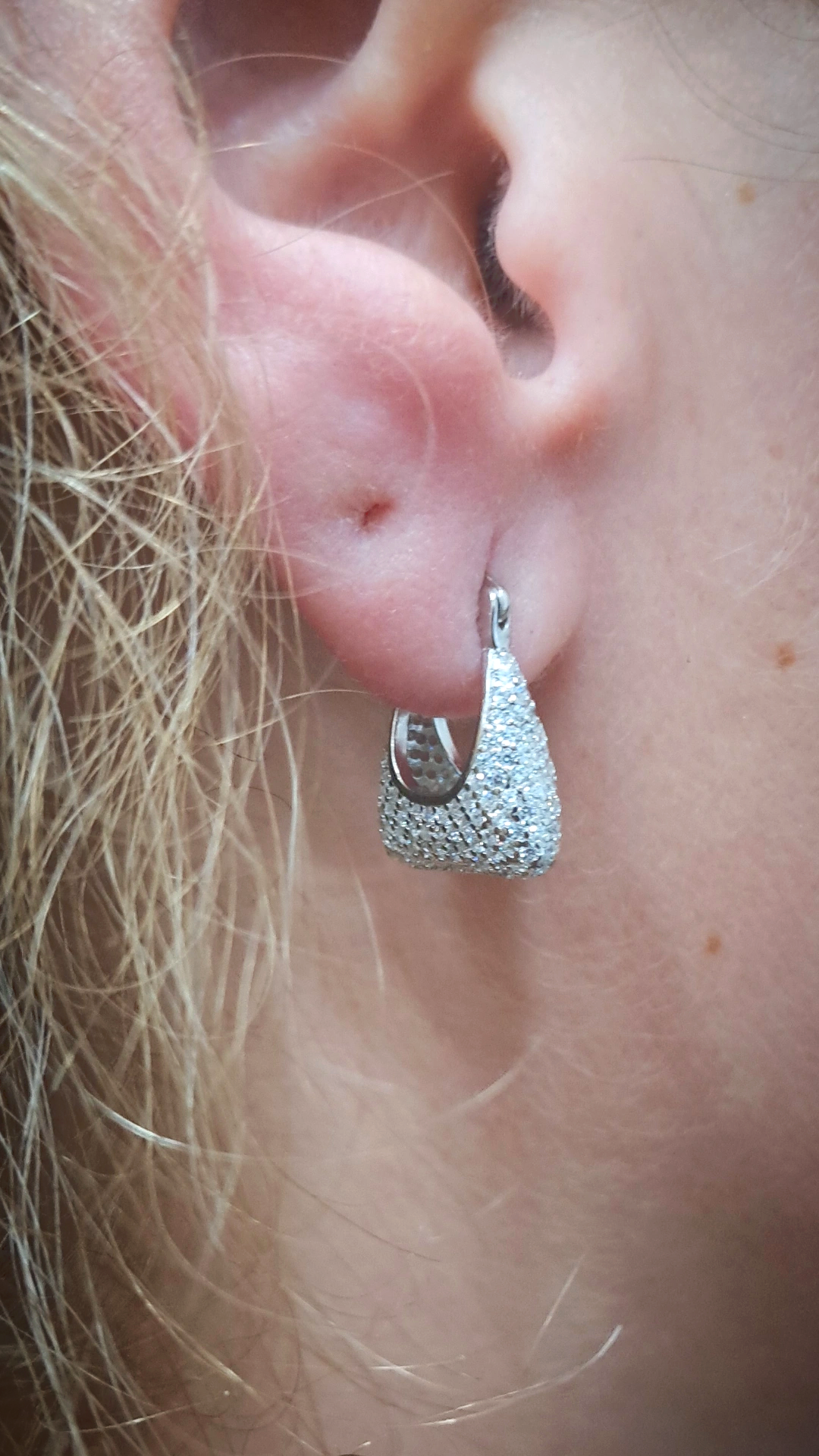 Orecchini cerchi bag