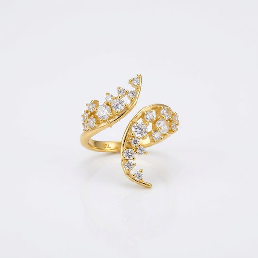 Anello Bibie