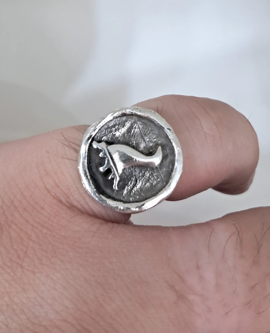 Anello sciò sciò