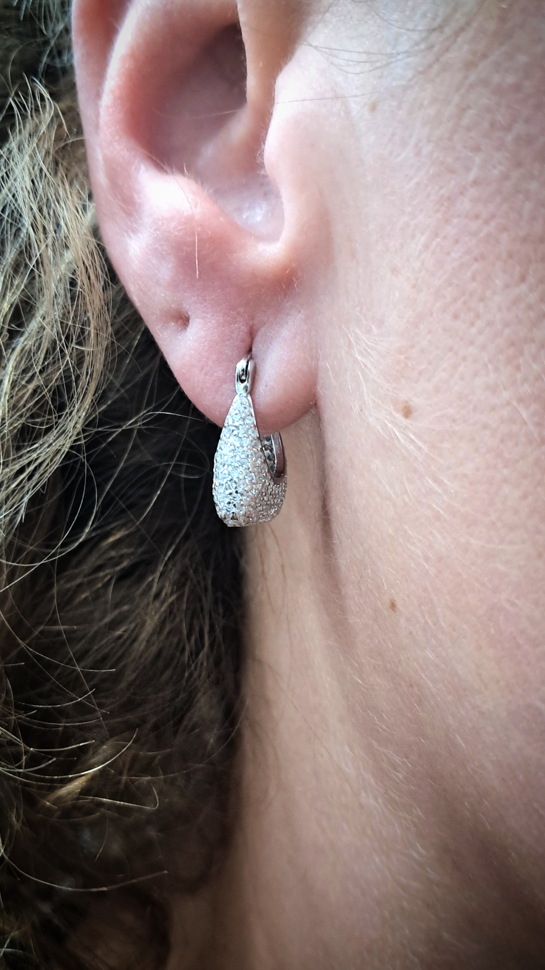 Orecchini cerchi bag